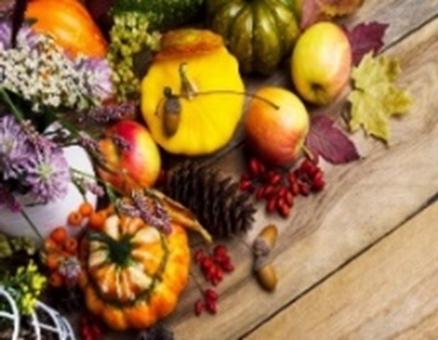 Bountiful Flowers Thanksgiving